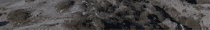 menubar
